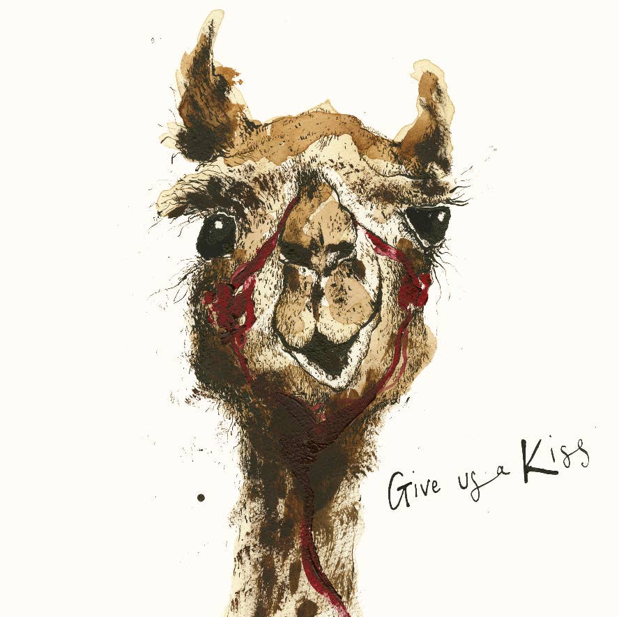 Give Us A Kiss Camel Card