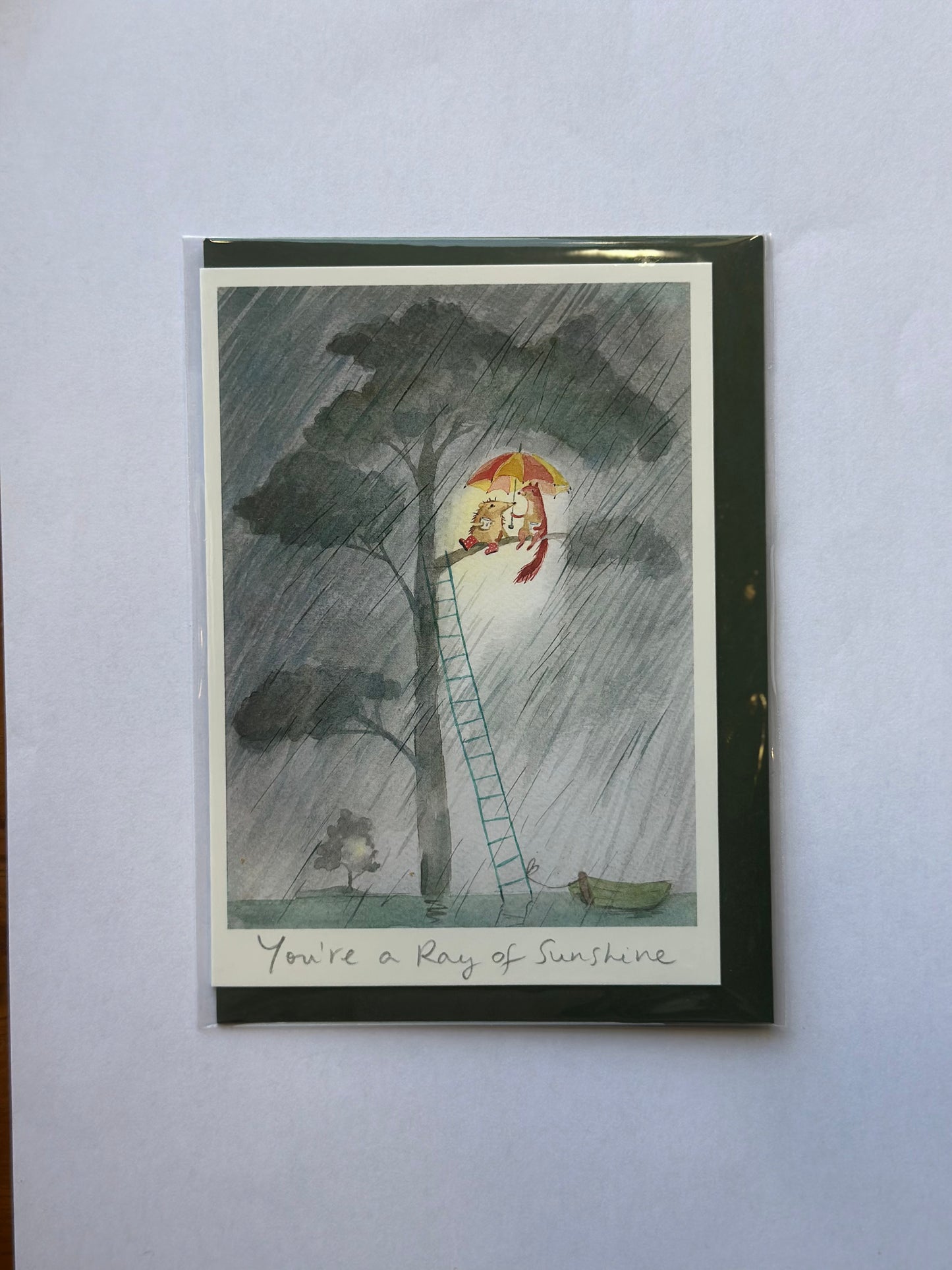 You're a Ray of Sunshine Greeting Card