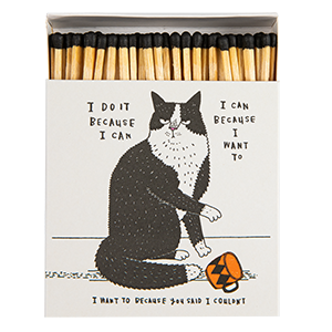 I Do It Because I Can Matches | Square Matchboxes