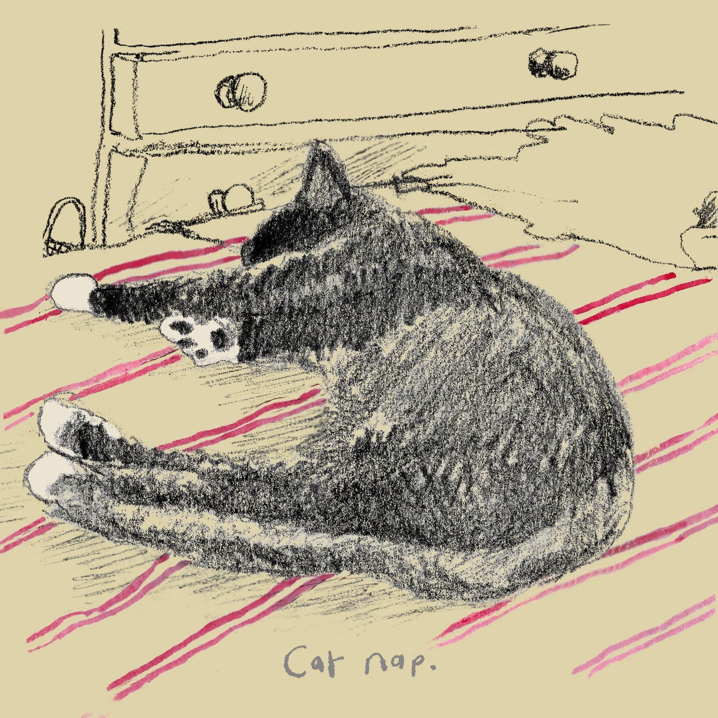 'Cat Nap' Greetings Card