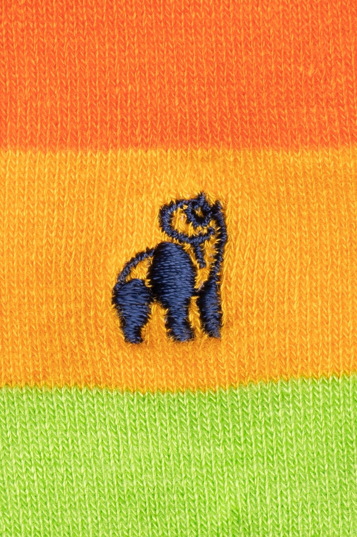 Swole Panda - Women’s Pride Bamboo Socks