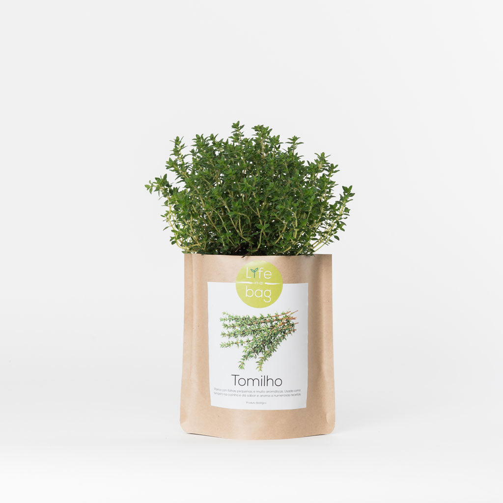 Thyme Grow Bag