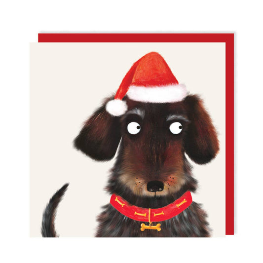Cute Dachshund Hat Christmas Card | Funny Christmas Card