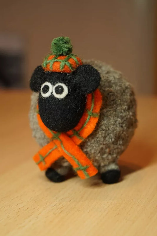 Douglas the Highland Sheep