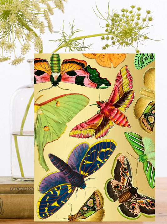 RS309P ~ Gold Foil Botanical Greeting Card