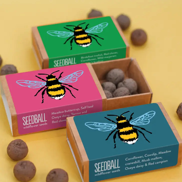 Bee Seedball Wildflower Boxes