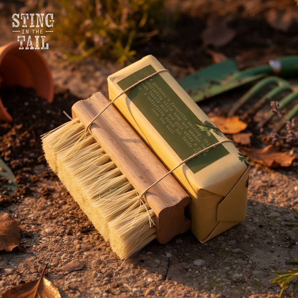 Olive Soap & Nail Brush