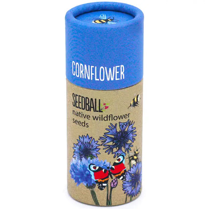 Wildflower Seedball Tube - Cornflower