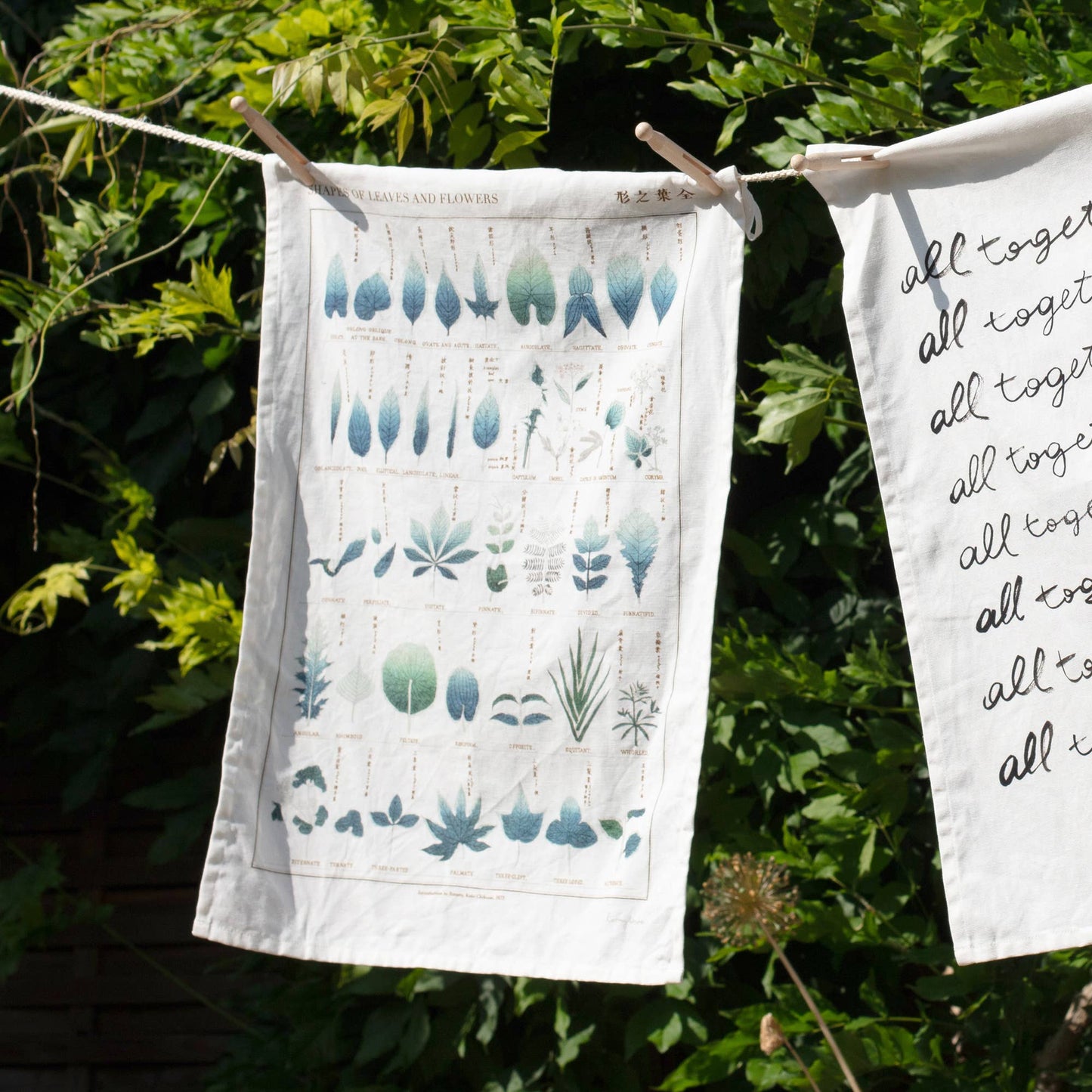 Cotton Tea Towel - Shapes of Leaves