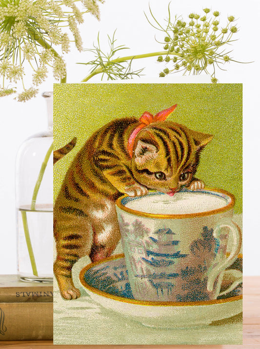 RS264P ~  Whimsical Greeting Card