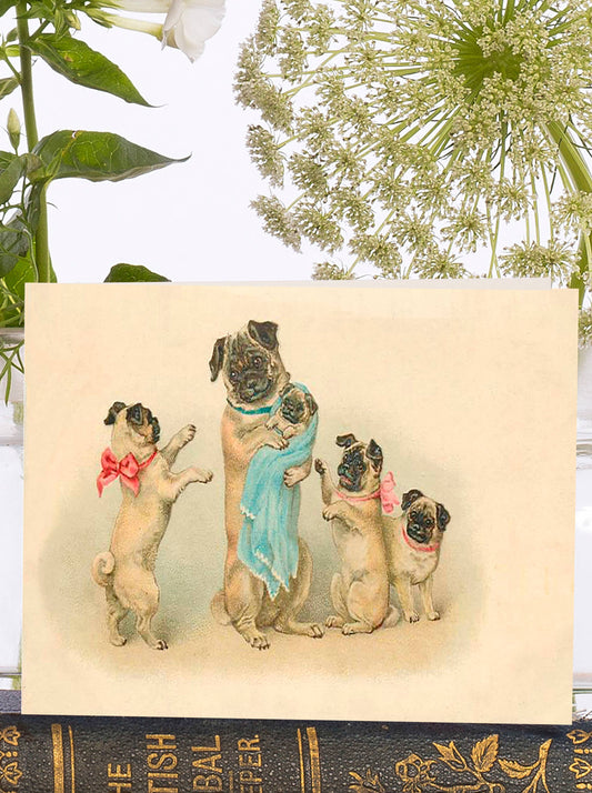 VT001P ~ Little Vintage  Greeting Card