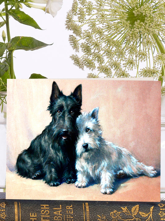 VT0056P ~ Little Vintage  Greeting Card