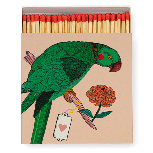 Archivist 'Ariane Parrot' Decorative Matches