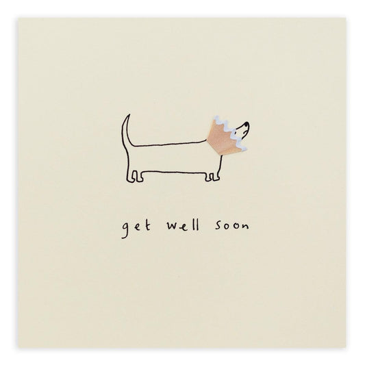 Get Well Dog Cone