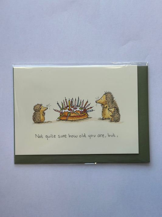 Not Quite Sure How Old You Are Greeting Card