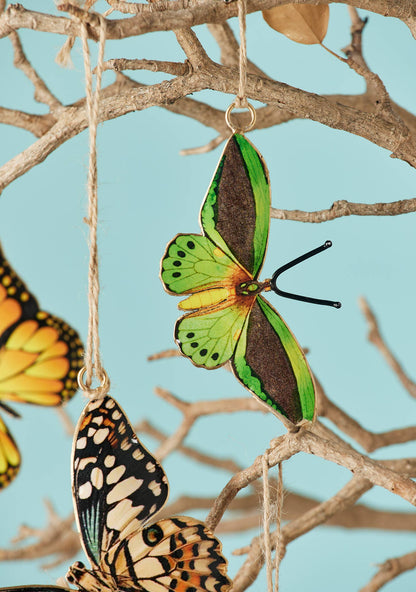 Butterfly Metal Decoration