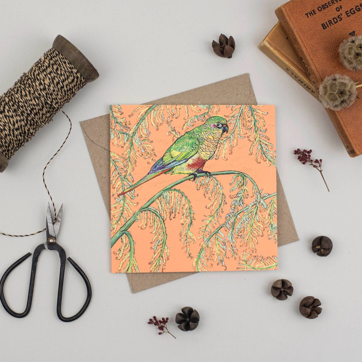 Parakeet Greeting Card