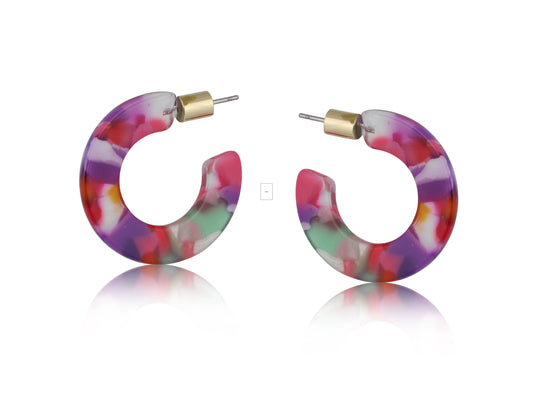 Erica Oval Hoop Earrings