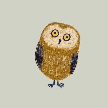 Owl - Blank Greetings Card