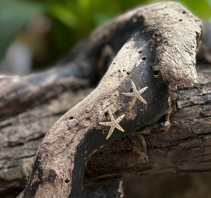 14ct Gold Plated Star Fish Earrings