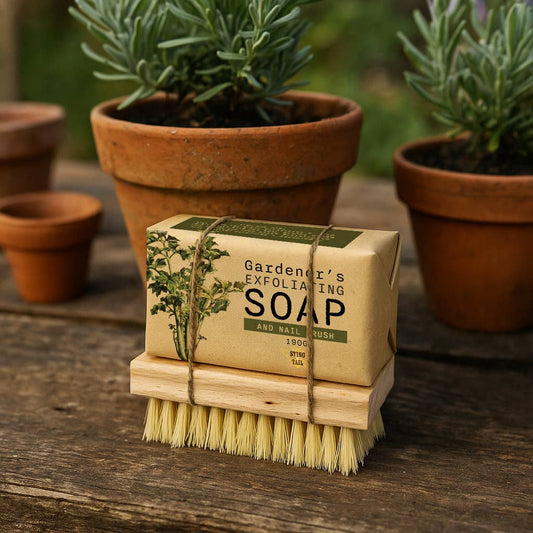 Olive Soap & Nail Brush
