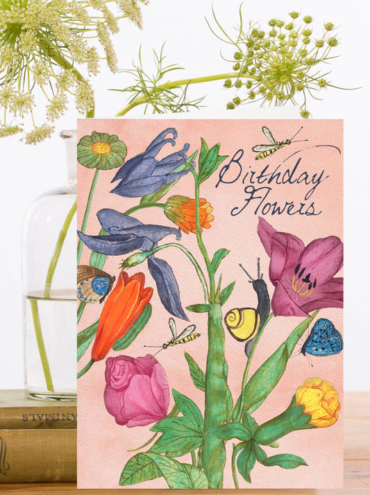HB241P ~ Birthday Card