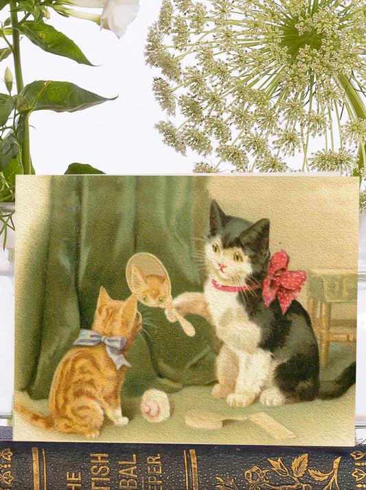 VT086P ~ Little Vintage  Greeting Card