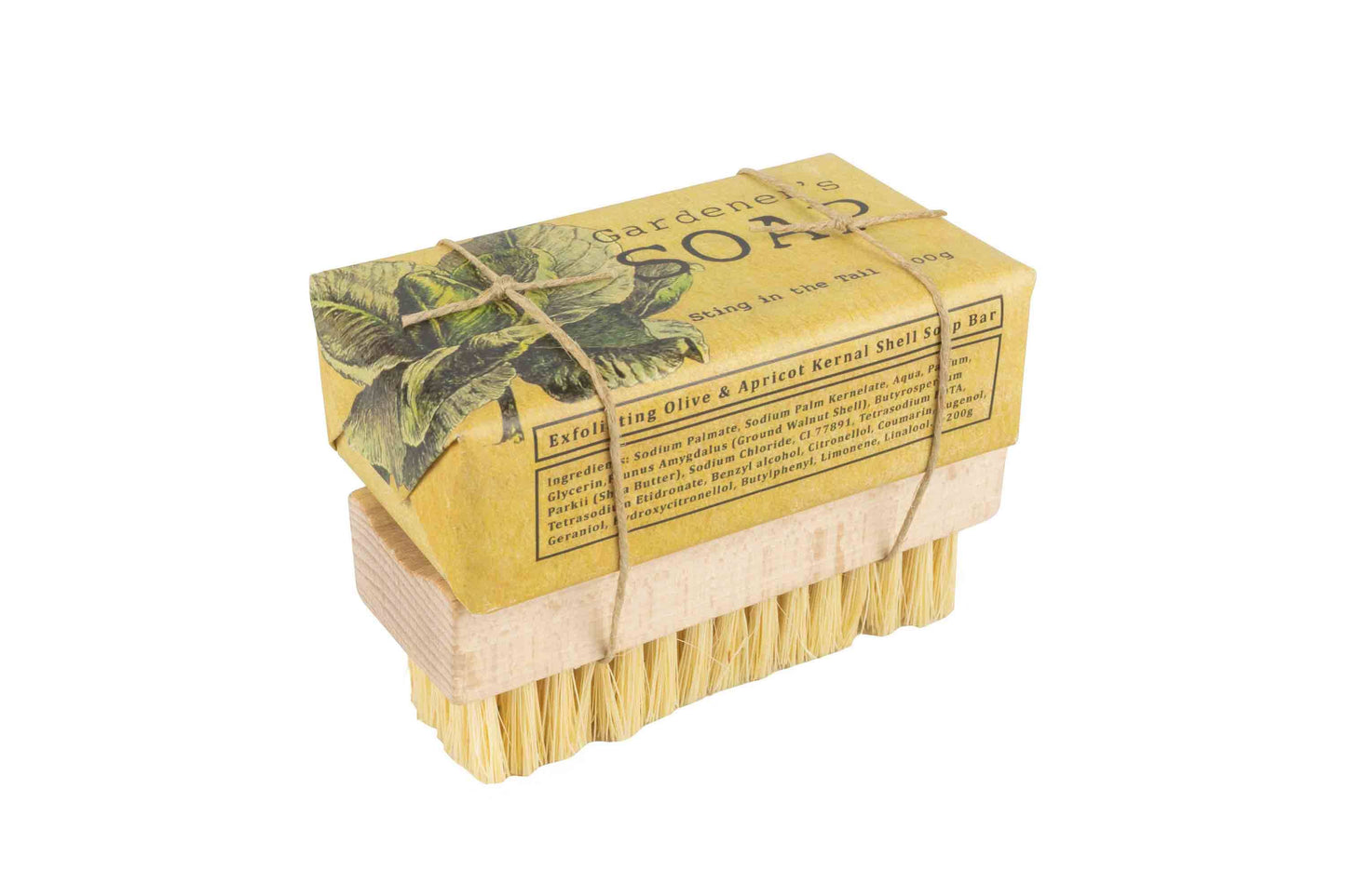 Olive Soap & Nail Brush