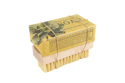 Olive Soap & Nail Brush