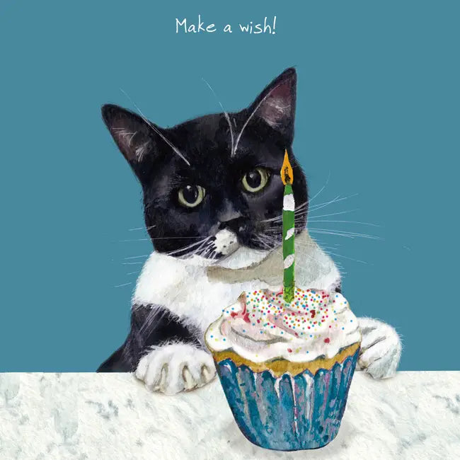 Black & White Cat Birthday Card