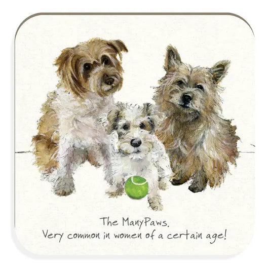 Terrier Coaster Many Paws