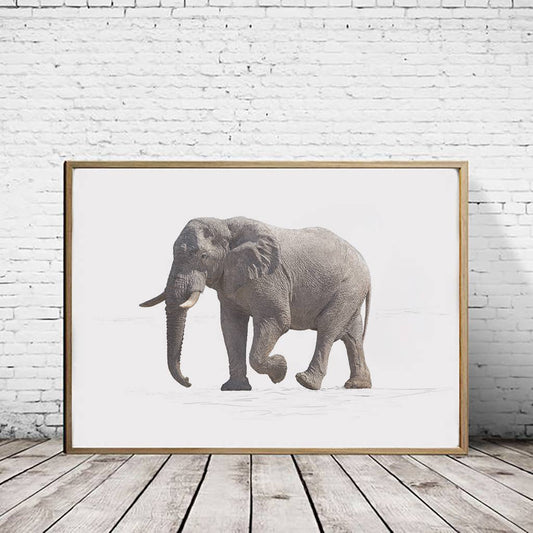 African Elephant - Print A1/A2 (landscape): A2