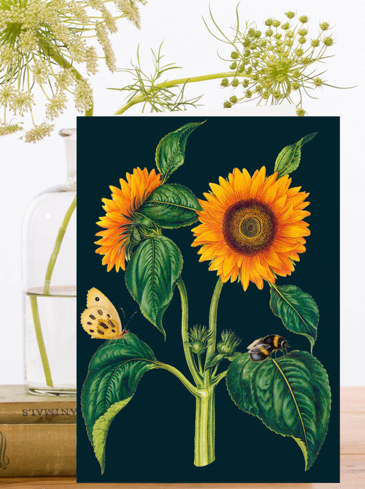 Sunflower Botanical Greeting Card