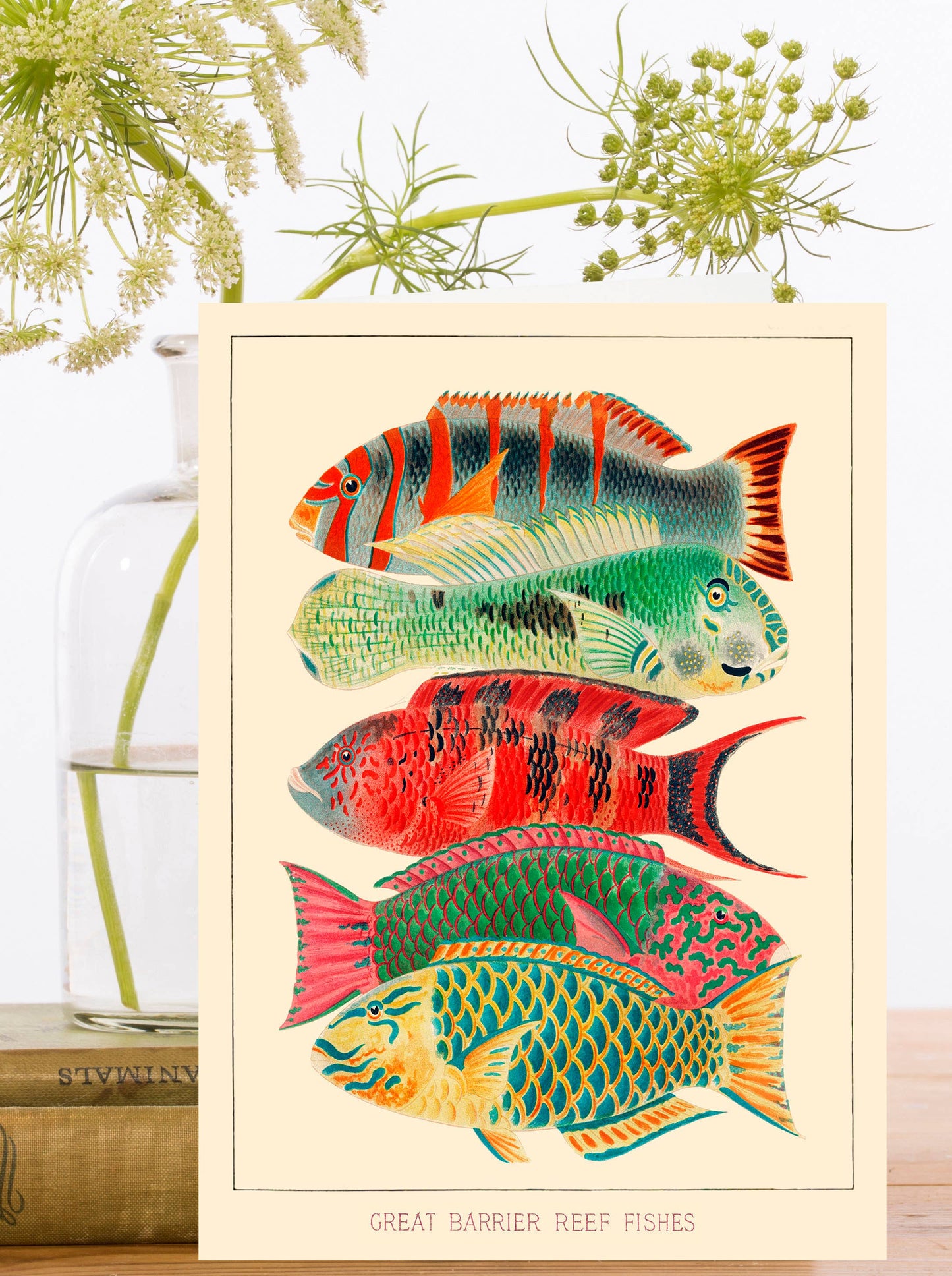 Madame Treacle Fish Greeting Card