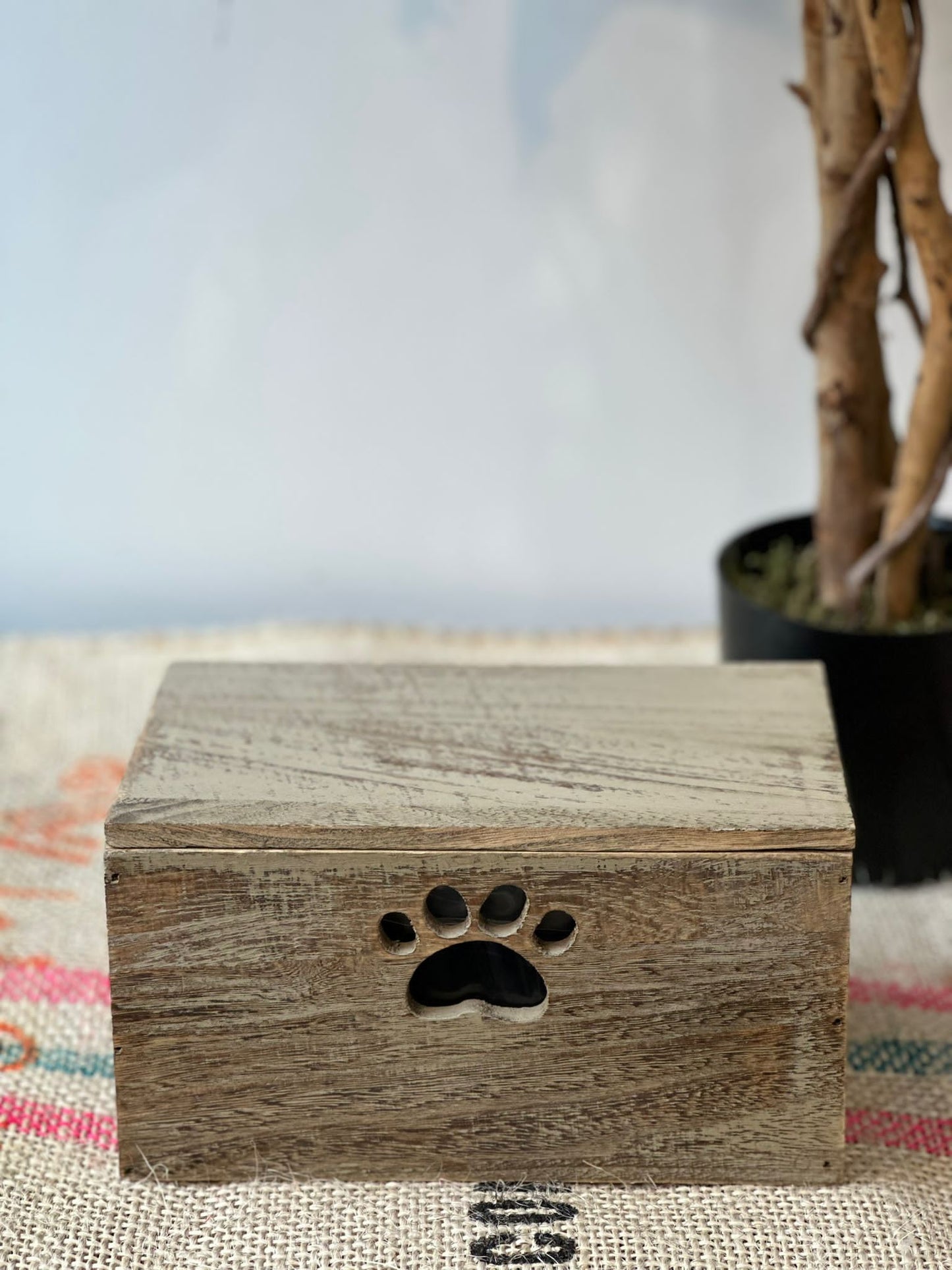 Wooden Dog Treat box