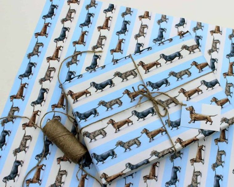 Sausage Dogs Gift Wrap - Wrapping Paper - Eco Friendly