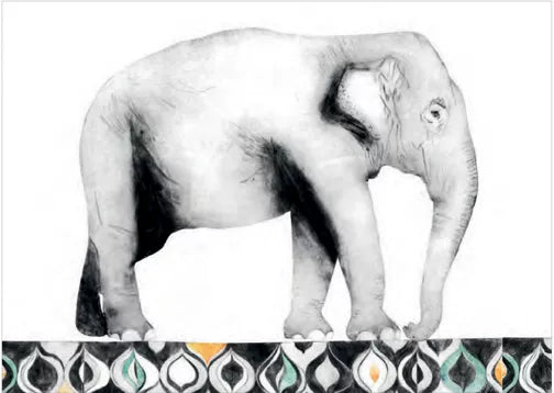 Indian Elephant Card